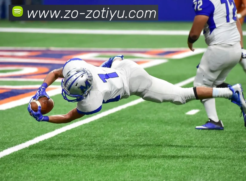 中欧体育平台生态图